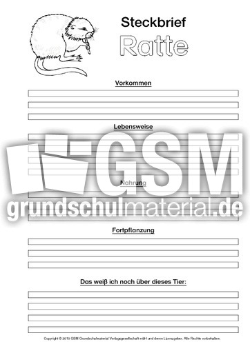 Ratte-Steckbriefvorlage-sw.pdf